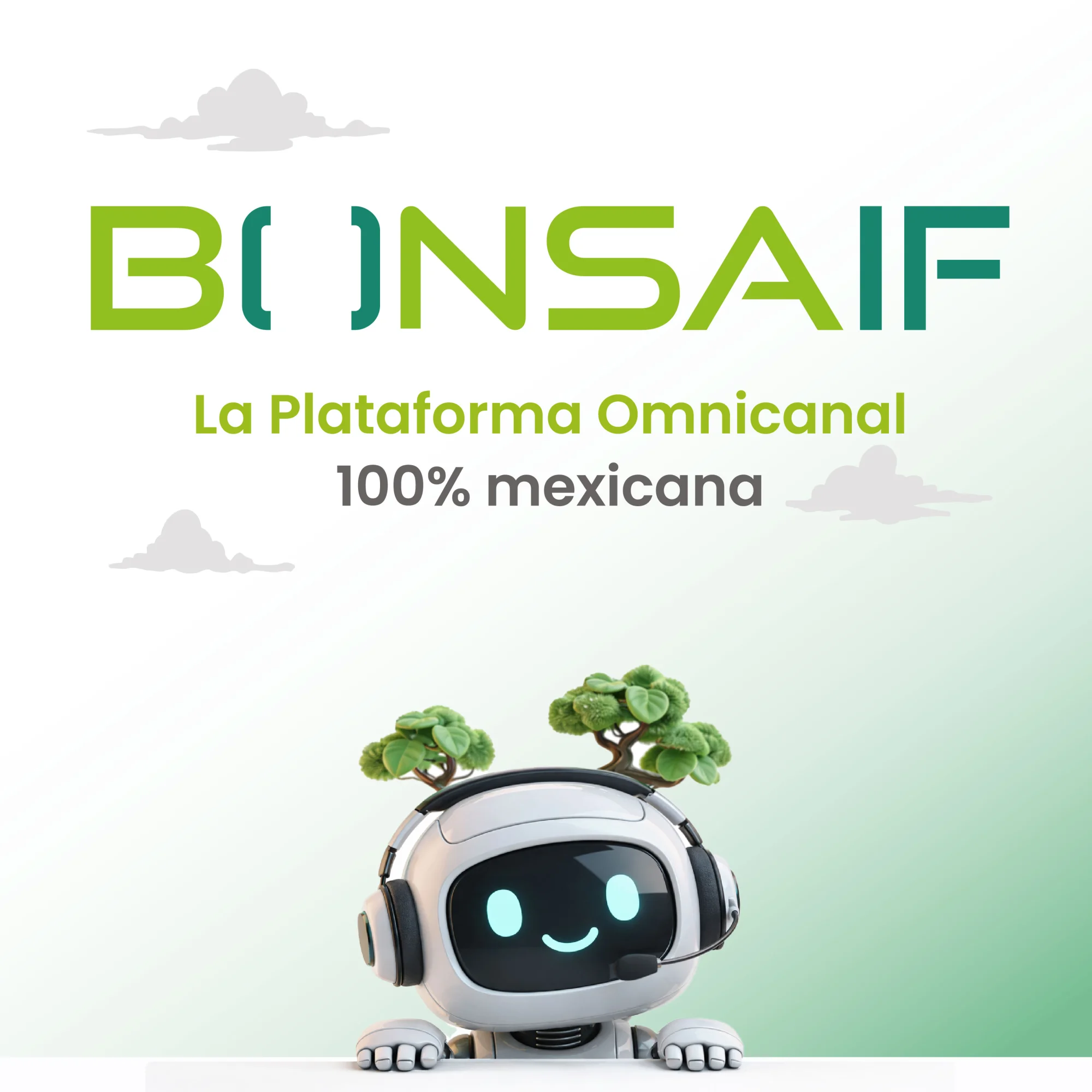 Portada de BONSAIF